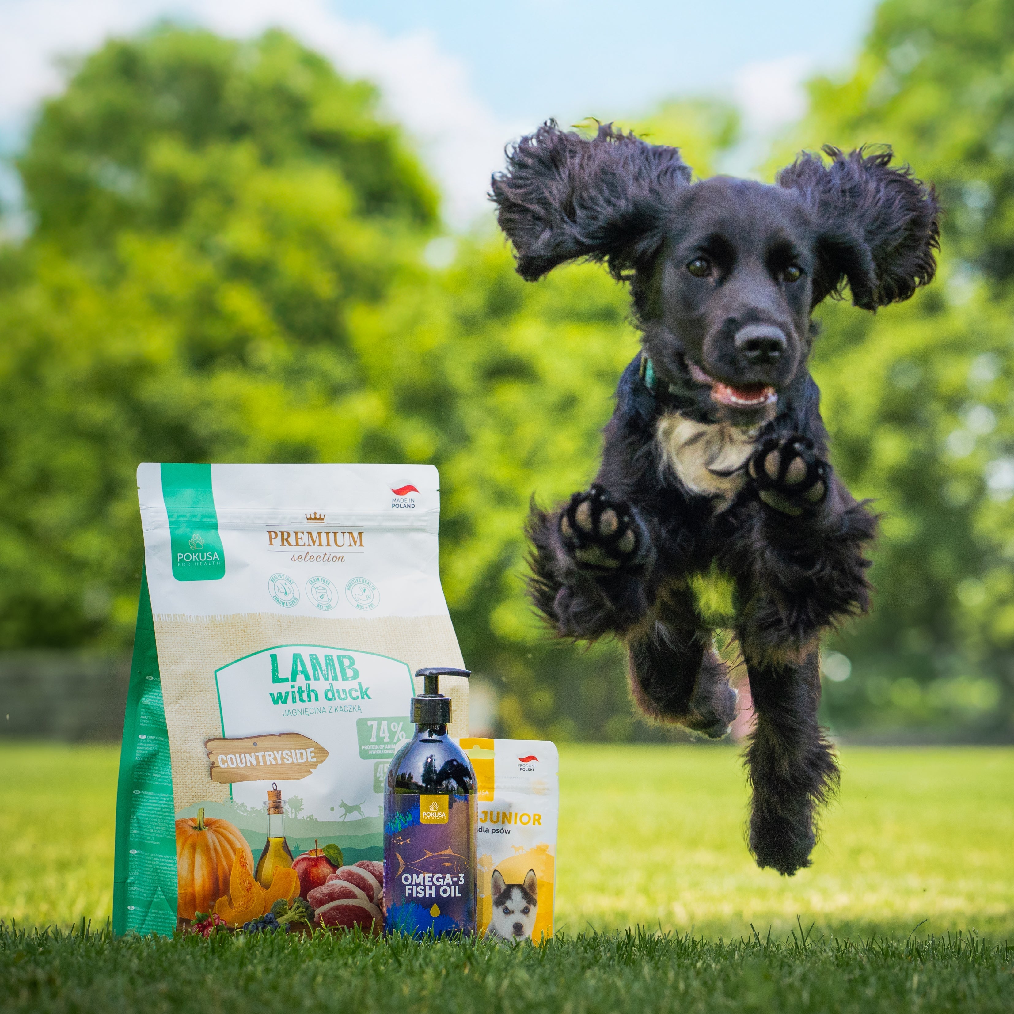 For Dogs