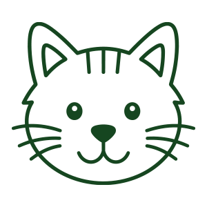 For Cats