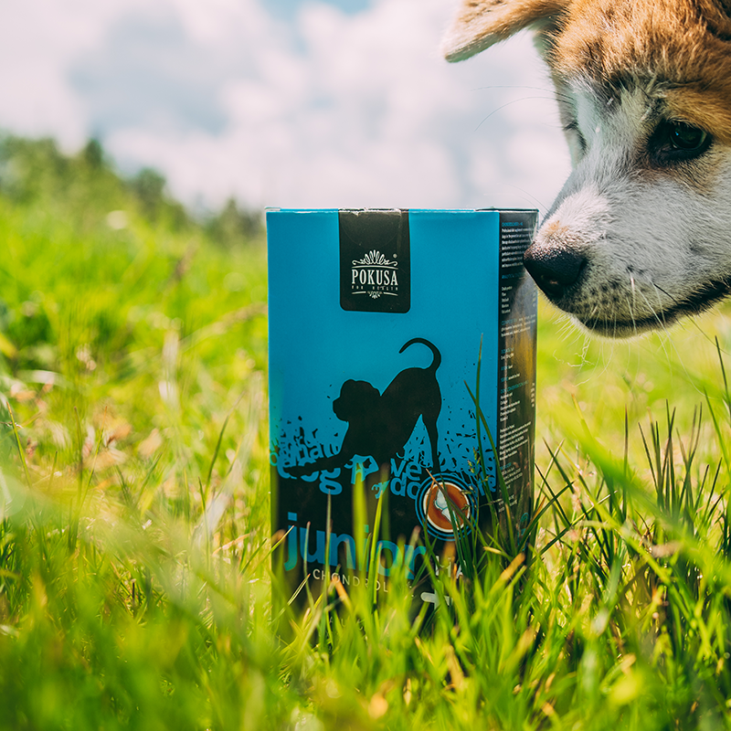 Supplément Articulaire Liquide pour Chiots – Soutien de la Croissance avec Acide Hyaluronique et Collagène – Junior +HA  – ChondroLine