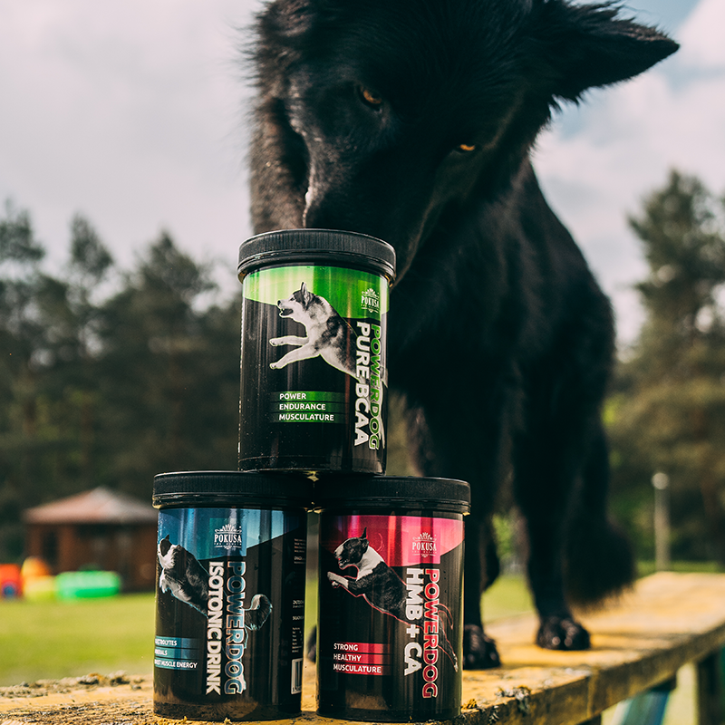 Muscle growth supplement - PowerDog HMB + CA