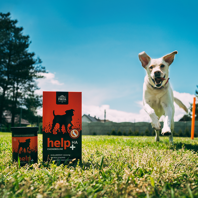 Joint supplement - ChondroLine Help + HA