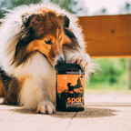 Collagene per Cani Sportivi – Supporto Articolazioni con Glucosamina, MSM e Condroitina – Prestazioni e Recupero – Sport – ChondroLine