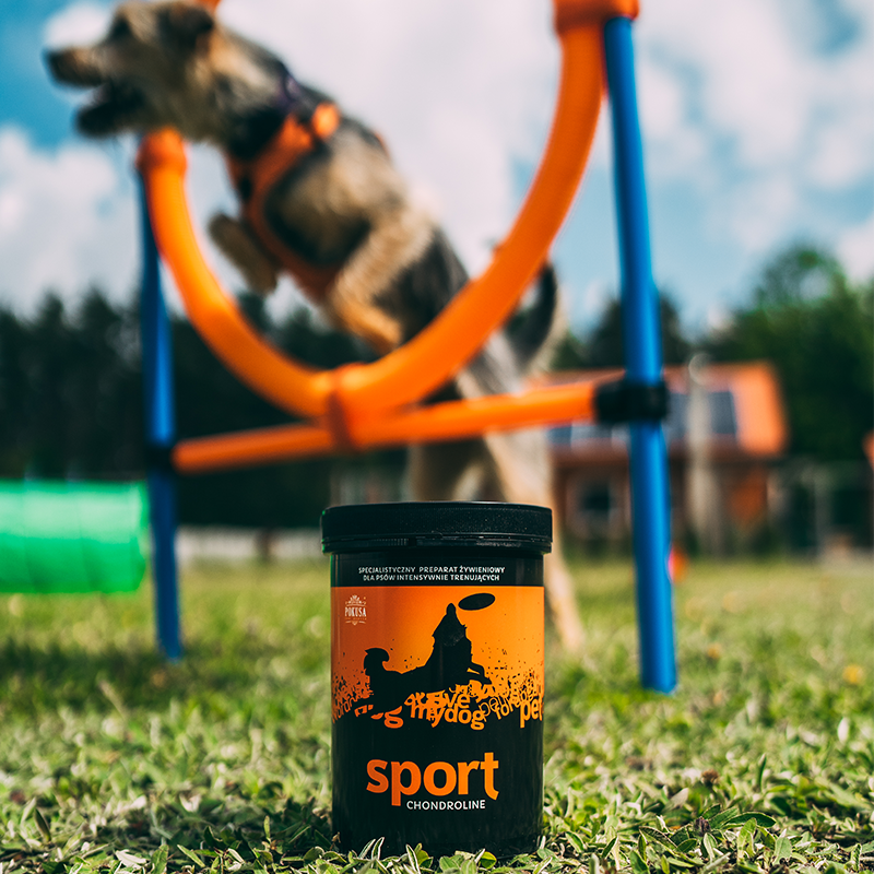 Collagene per Cani Sportivi – Supporto Articolazioni con Glucosamina, MSM e Condroitina – Prestazioni e Recupero – Sport – ChondroLine