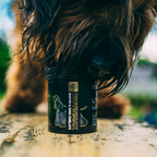 Biotine pour Chiens d’Exposition – Races Moyennes et Grandes – Régénération Intensive du Pelage et de la Peau – Biotin Max – DiamondCoat