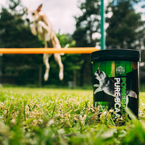 BCAA per Cani Sportivi – Recupero Muscolare e Prestazioni Fisiche – Amminoacidi Essenziali per l'Allenamento – Pure BCAA – PowerDog