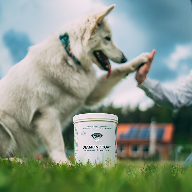 DiamondCoat SnowWhite & MixColor