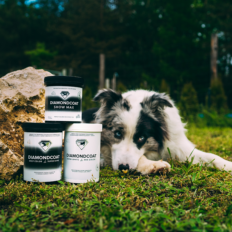 Suplemento para Perros de Pelo Oscuro – Intensifica el Color y Aumenta el Brillo del Pelaje – DeepColor & SuperShine – DiamondCoat