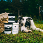 Suplemento para Perros de Pelo Oscuro – Intensifica el Color y Aumenta el Brillo del Pelaje – DeepColor & SuperShine – DiamondCoat