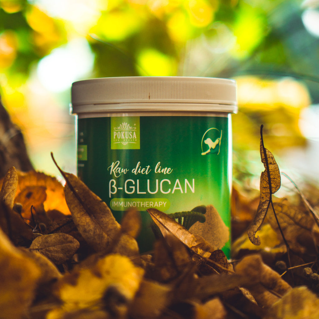Pure Beta Glucan for Dogs & Cats – Powerful Immunity Booster – Support for Recovery & Convalescence – B-Glucan – RawDietLine
