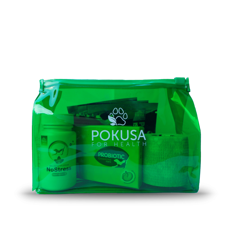 Dog first aid kit in a waterproof pouch