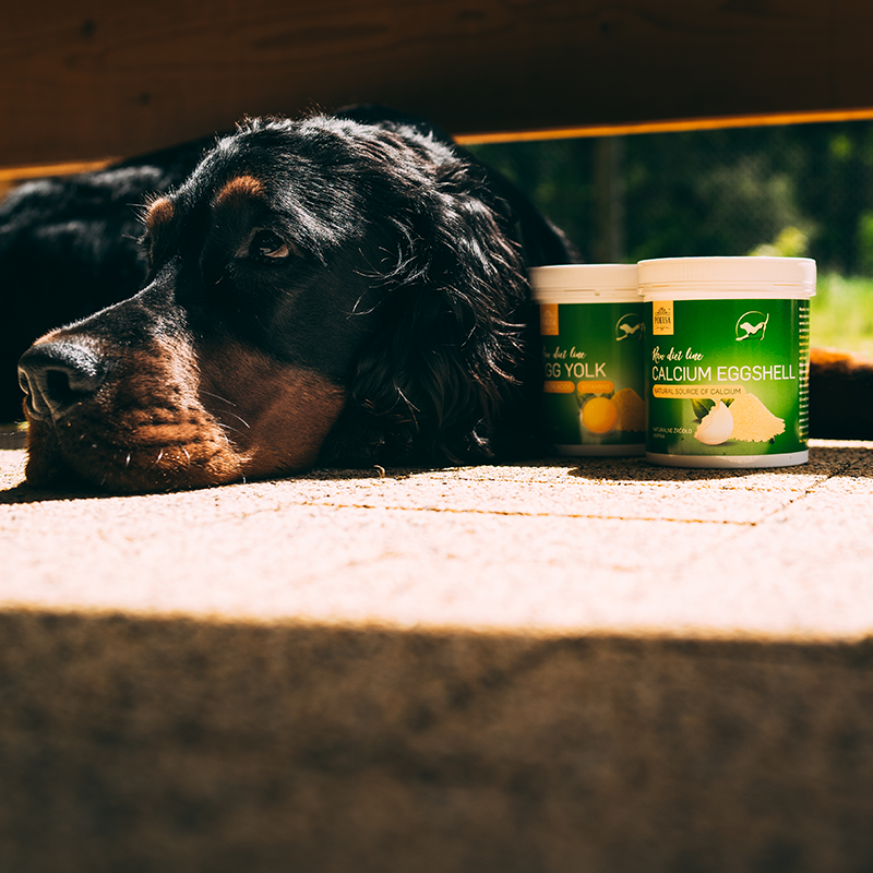 Calcio Naturale in Polvere di Guscio d'Uovo per Cani e Gatti – Integratore BARF per Ossa e Denti Forti – Puro – RawDietLine