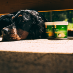 Calcio Naturale in Polvere di Guscio d'Uovo per Cani e Gatti – Integratore BARF per Ossa e Denti Forti – Puro – RawDietLine