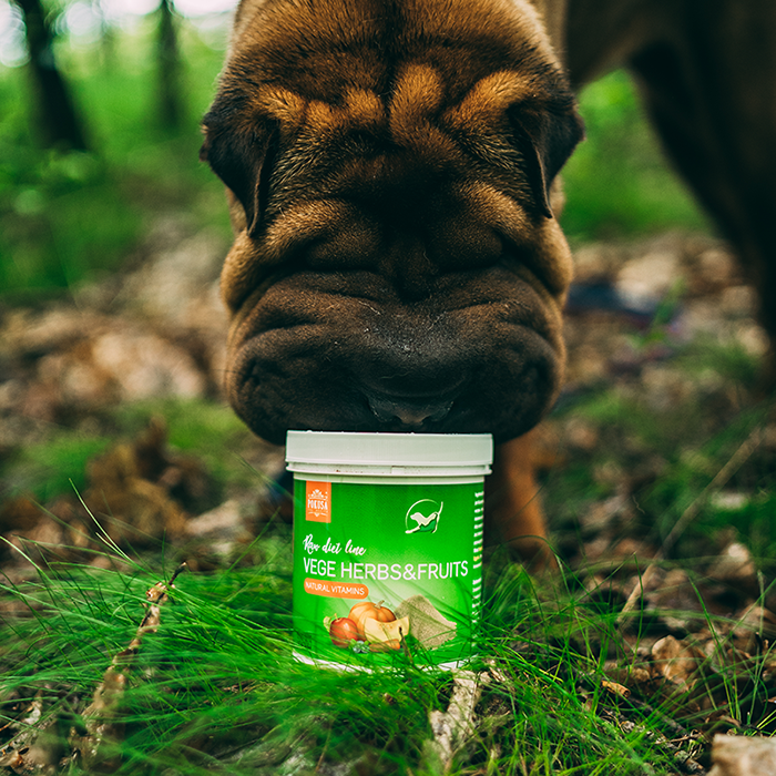 Mix di Verdure e Frutta BARF per Cani e Gatti – Con Erbe per la Digestione – Integratore Naturale Essiccato –  Vege Herbs&Fruits – RawDietLine