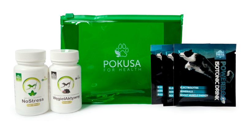 Dog first aid kit in a waterproof pouch