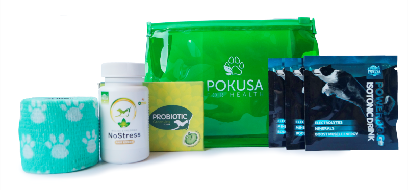 Dog first aid kit in a waterproof pouch