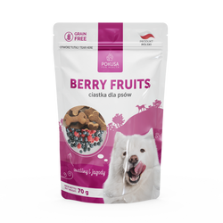 Biscuits pour Chiens Berry Fruits – Friandises Croquantes 100% Naturelles aux Fruits et Herbes – Berry Fruits
