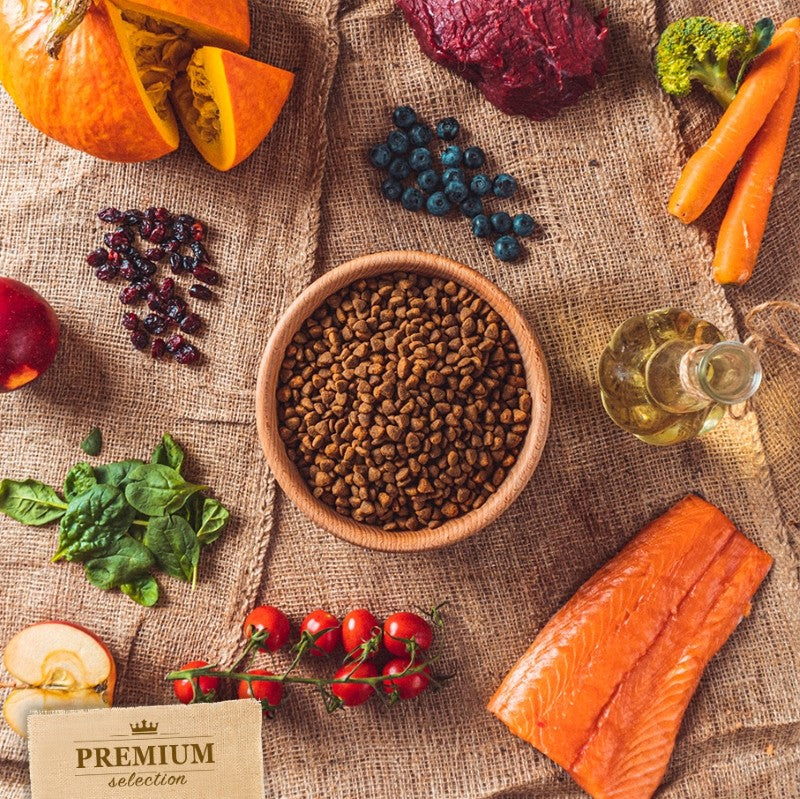 Cibo Secco per Cuccioli Manzo e Salmone – Ipoallergenico Senza Cereali – Manzo e Salmone – Premium Selection