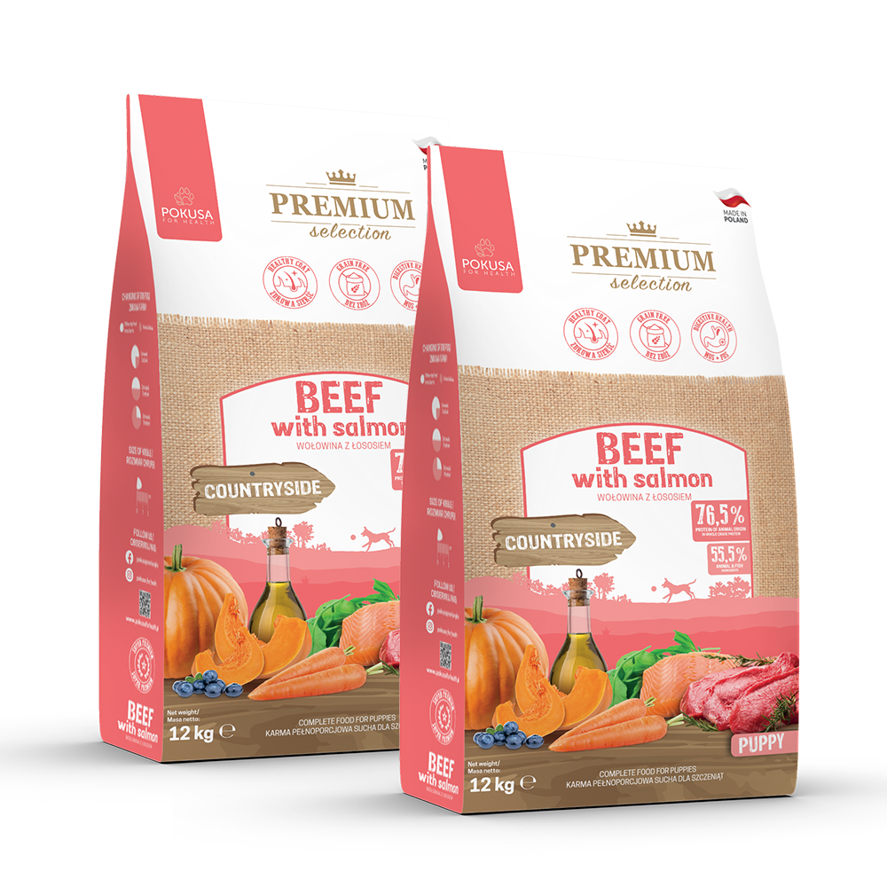 BEEF AND SALMON DRY FOOD FOR PUPPIES