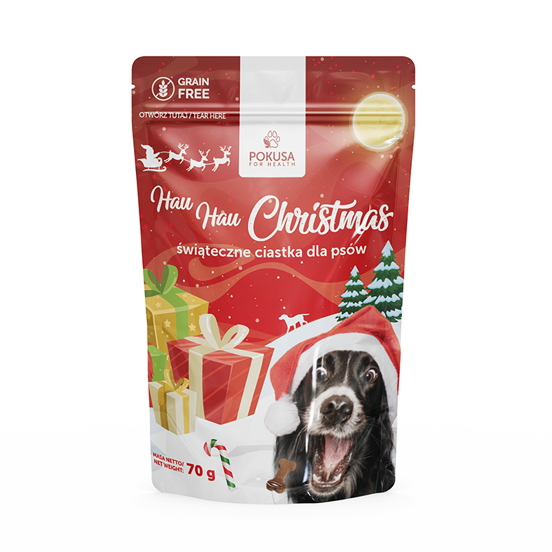 Friandises de Noël pour Chien Hau Hau – Biscuits Gingembre et Cannelle