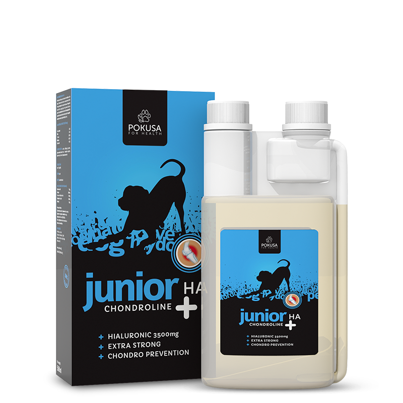 Supplément Articulaire Liquide pour Chiots – Soutien de la Croissance avec Acide Hyaluronique et Collagène – Junior +HA  – ChondroLine