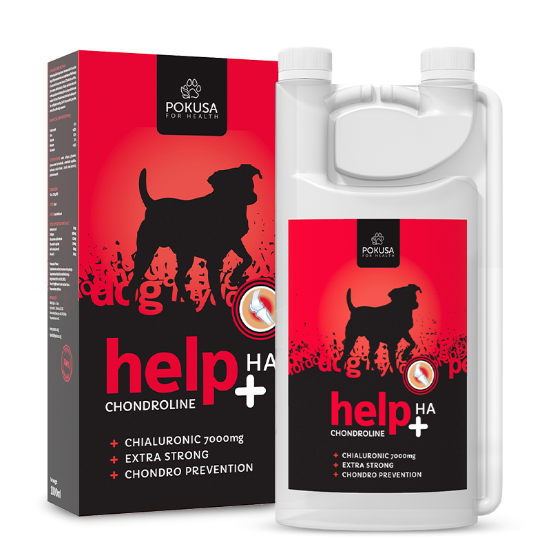 Liquid Hyaluronic Acid for Dogs – Joint & Musculoskeletal Support – High Absorption Supplement for Mobility – Help +HA – ChondroLine