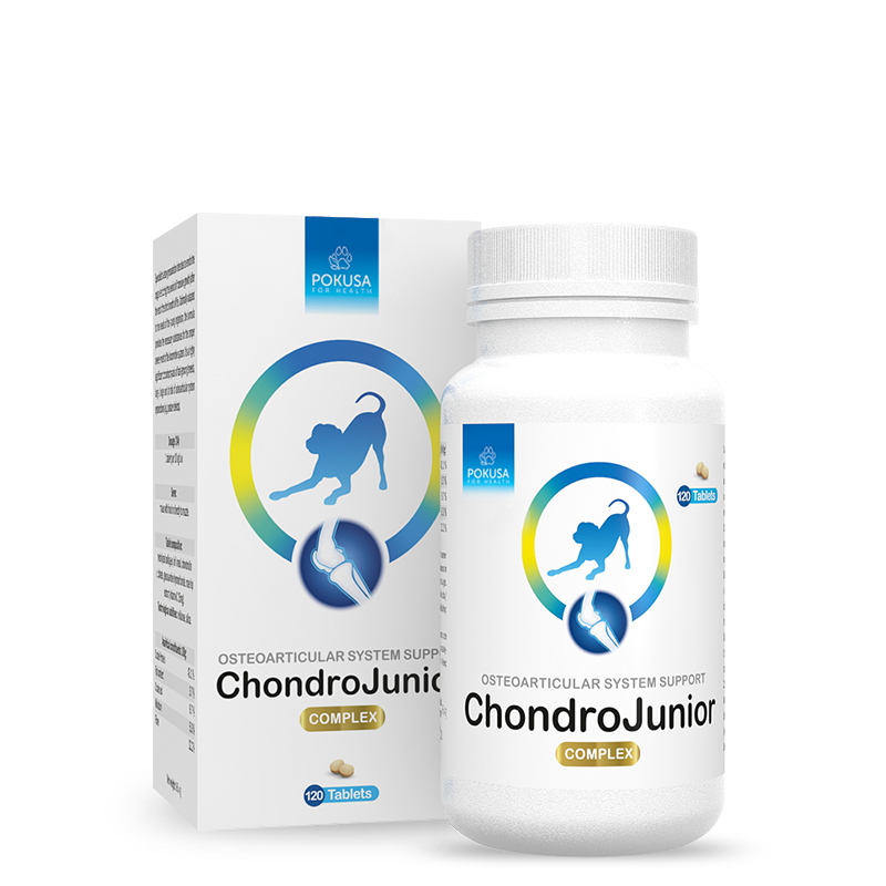 Comprimés Articulations pour Chiots de Grandes Races et Géantes – Soutien de la Croissance et du Développement Osseux – ChondroJunior – ChondroLine