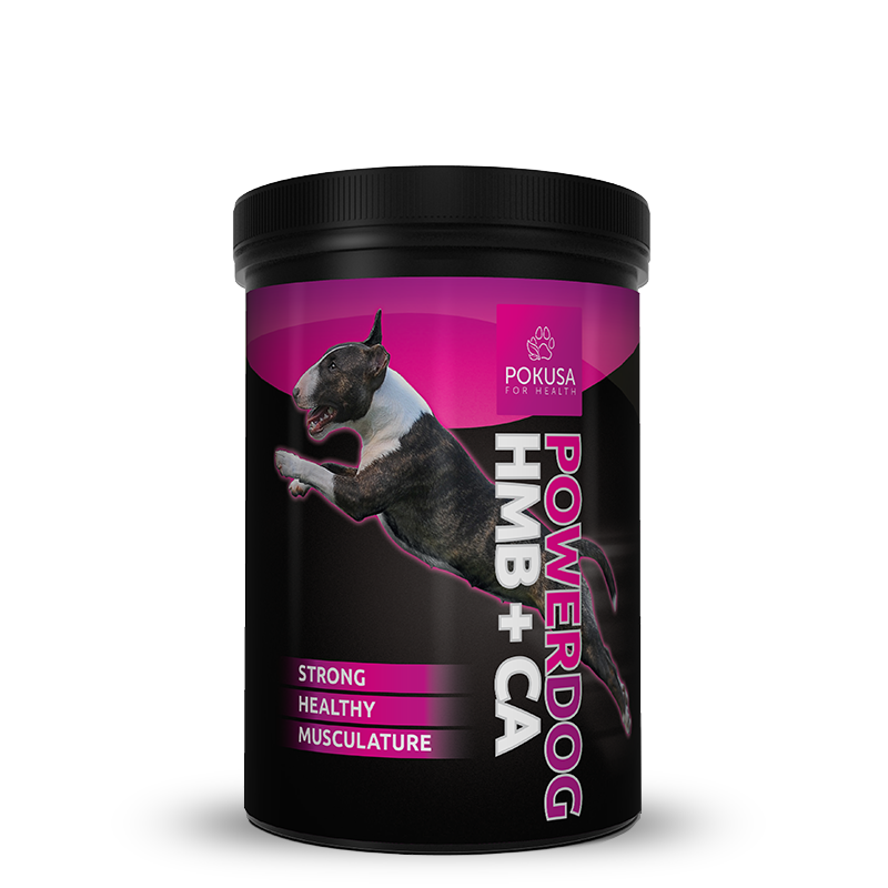 Muscle growth supplement - PowerDog HMB + CA