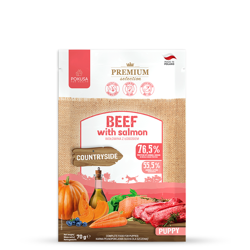 BEEF AND SALMON DRY FOOD FOR PUPPIES