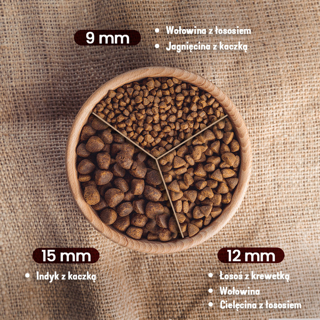 Cibo Secco per Cani al Salmone e Gamberetti – Senza Cereali Super Premium – Salmone e Gamberetti – Premium Selection
