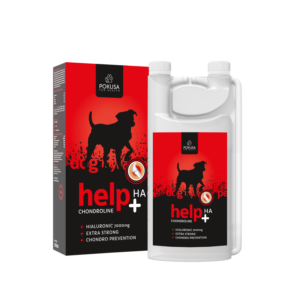 Ácido Hialurónico Líquido para Cães – Suporte Articular e Musculoesquelético – Suplemento de Alta Absorção para Mobilidade – Help +HA – ChondroLine